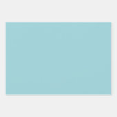 Robin Egg Blue Inpakpapier Vel (Voorkant 3)