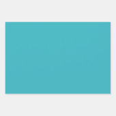 Robin Egg Blue Inpakpapier Vel (Voorkant 2)