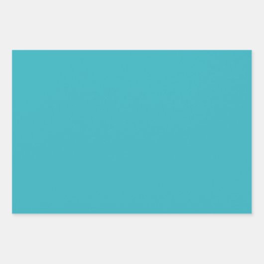 Robin Egg Blue Inpakpapier Vel (Voorkant 2)