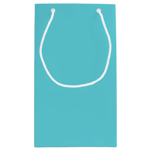 Robin Egg Blue Klein Cadeauzakje (Achterkant)