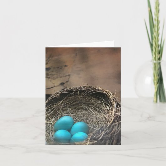 Robin Eggs Blank Note Card Kaart (Voorkant)