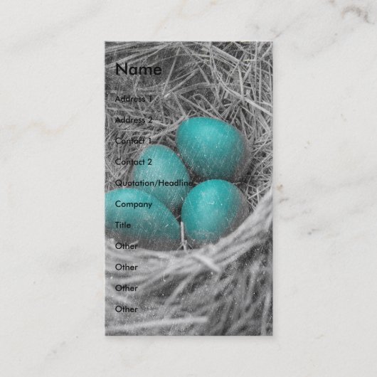 Robin Eggs Grunge Visitekaartje (Voorkant)
