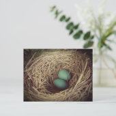 Robin Eggs in a Nest Briefkaart (Staand voorkant)
