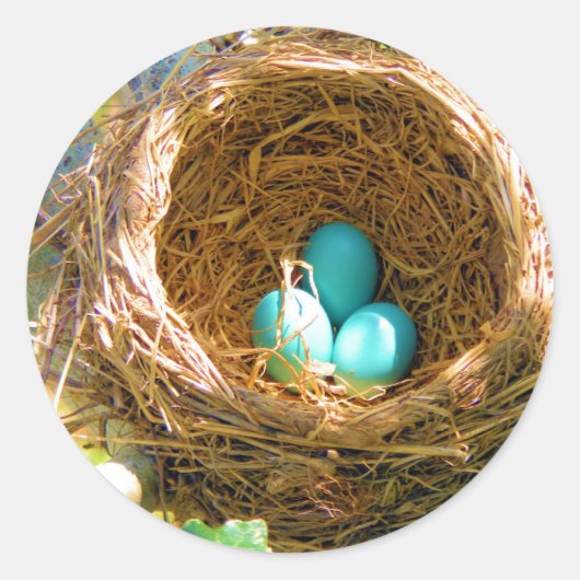 Robin Eggs in een backyard Tree Nest Ronde Sticker (Voorkant)
