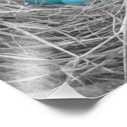 Robin eicellen foto afdruk (Hoek)