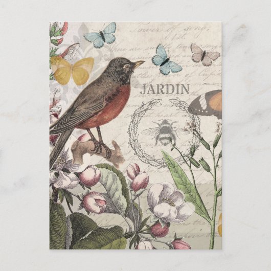 Robin Elegant Vogelvlinder Franse kunst Briefkaart (Voorkant)