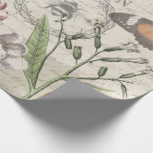 Robin Elegant Vogelvlinder Franse kunst Cadeaupapier (Hoek)