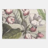 Robin Elegant Vogelvlinder Franse kunst Inpakpapier Vel (Voorkant 2)