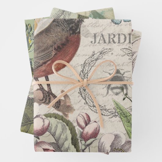 Robin Elegant Vogelvlinder Franse kunst Inpakpapier Vel (In situ)