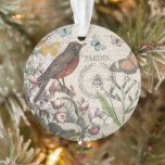 Robin Elegant Vogelvlinder Franse kunst Ornament<br><div class="desc">Ontdek de charme van een vervlogen tijdperk met deze prachtige originele collage, zorgvuldig vervaardigd uit antiek efemera. Met een prachtig gerestaureerde roodborstje te midden van weelderige botanische illustraties, roept dit ontwerp de rust op van een tuin. Fijne vlinders fladderen rond, terwijl een klassieke hommel wordt omringd door een lauwerkrans. De...</div>