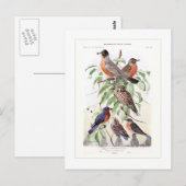 Robin en Bluebird Briefkaart (Voorkant / Achterkant)