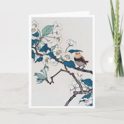 Robin en Cherry Blossom, Imao Keinen Kaart (Voorkant)