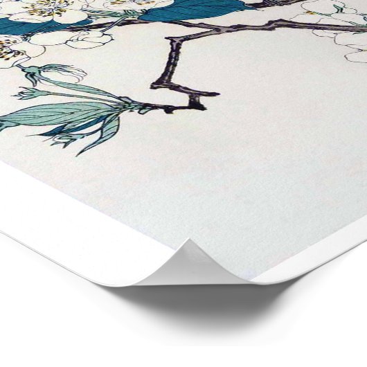 Robin en Cherry Blossom, Imao Keinen Poster (Hoek)