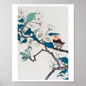 Robin en Cherry Blossom, Imao Keinen Poster (Voorkant)