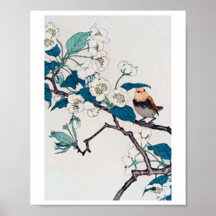 Robin en Cherry Blossom, Imao Keinen Poster