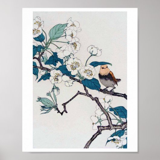 Robin en Cherry Blossom, Imao Keinen Poster (Voorkant)