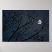 Robin en de maan poster (Voorkant)