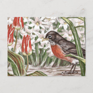 Robin en Red Tulips Spring Flowers Painting Briefkaart