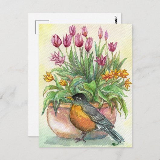 Robin en Tulips Briefkaart (Voorkant / Achterkant)