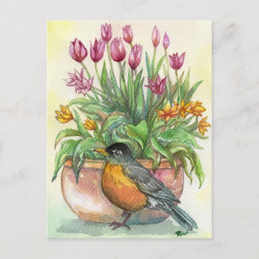 Robin en Tulips Briefkaart (Voorkant)
