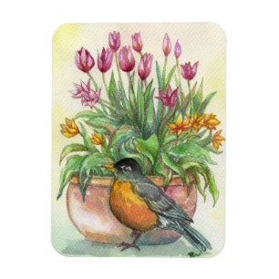 Robin en Tulips Magneet