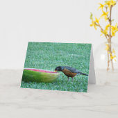 Robin Enjoys Watermelon, 4 juli Kaart (Gele Bloem)