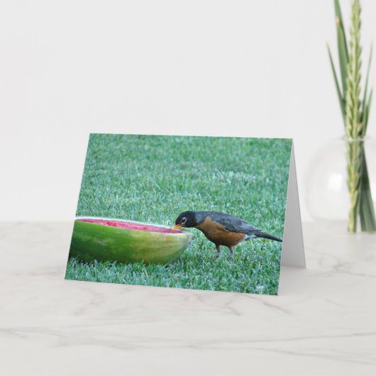 Robin Enjoys Watermelon, 4 juli Kaart (Voorkant)