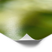 Robin Foto Afdruk (Hoek)