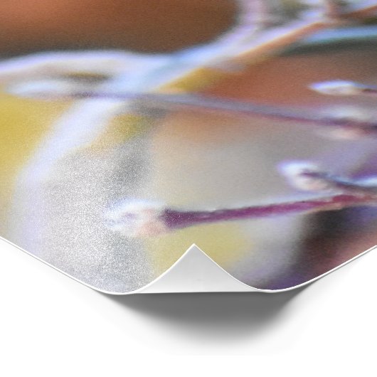 Robin Foto Afdruk (Hoek)