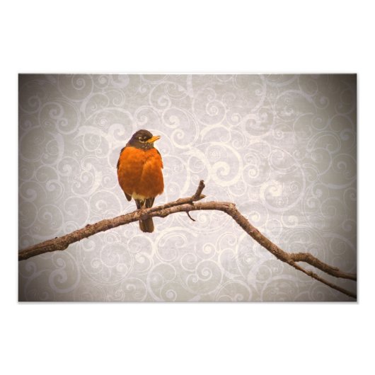 Robin Foto met Damask Swirl Design Afdruk (Voorkant)