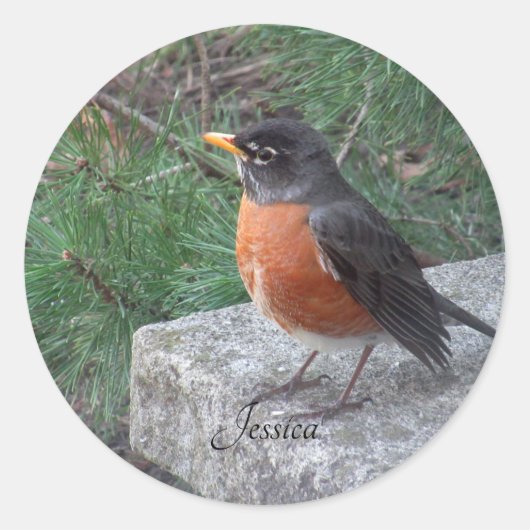 Robin Foto - Persoonlijke naam Ronde Sticker (Voorkant)
