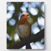 Robin Fotoplaat (Voorkant)