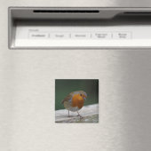 Robin Fridge Magnet (Insitu (Vaatwasser))