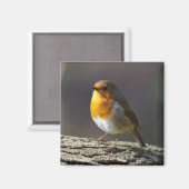 Robin Fridge Magnet (Voorkant / Achterkant)