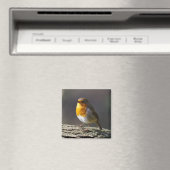 Robin Fridge Magnet (Insitu (Vaatwasser))