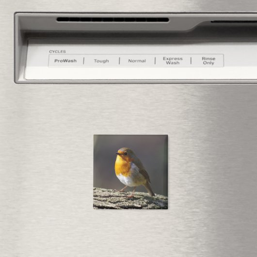 Robin Fridge Magnet (Insitu (Vaatwasser))