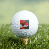 Robin Golfballen (Insitu Shirt)