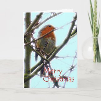 Robin grafische kunst kerstkaart kaart