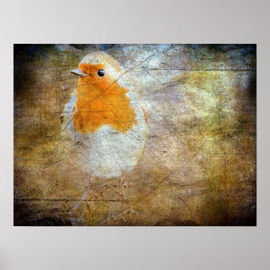 Robin Grunge Poster (Voorkant)