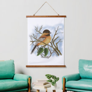 Robin Hangend Wandkleed