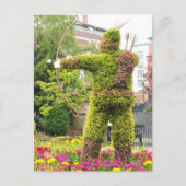 Robin Hood Briefkaart (Voorkant)