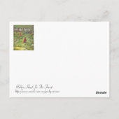 Robin Hood in het Bos Briefkaart (Achterkant)