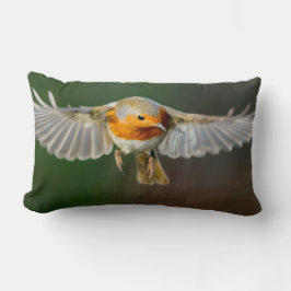 Robin hovering in vluchtkussen kussen