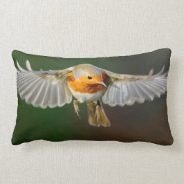 Robin hovering in vluchtkussen kussen