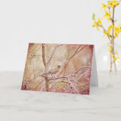 Robin Illustrated Scripture Kaart Matthew 6:26 (Gele Bloem)