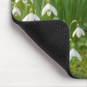 Robin in a Springtime Garden Muismat (Hoek)