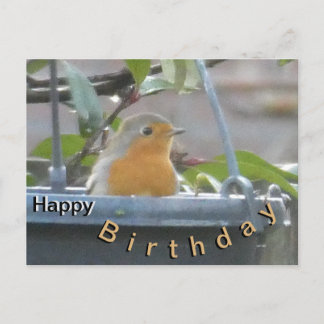 Robin in bloempot Verjaardagskaart Briefkaart