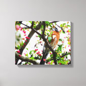 Robin in Blooming Crabapple Tree Print Canvas (Voorkant)