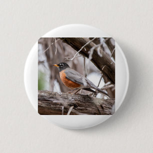 Robin in de bomen ronde button 5,7 cm