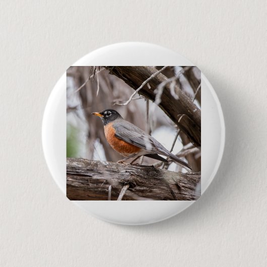 Robin in de bomen ronde button 5,7 cm (Voorkant)